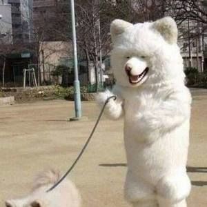 Meet your Posher, Vita